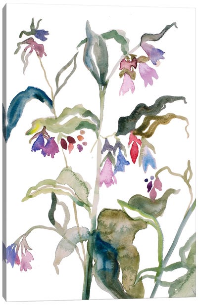 Floral No. 9 Canvas Art Print - Elizabeth Becker