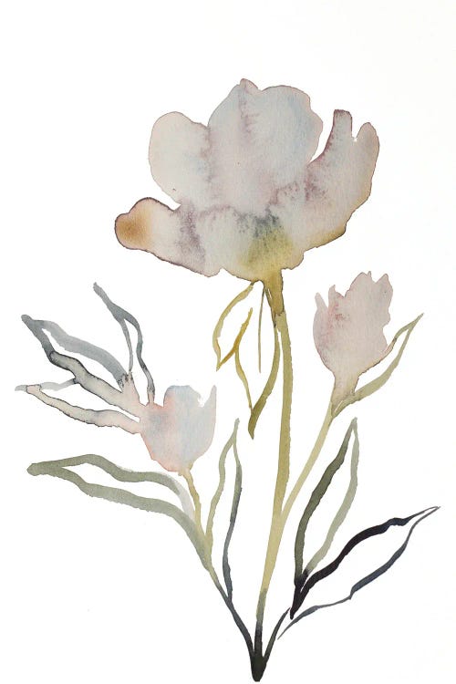 Floral No. 13 Canvas Art by Elizabeth Becker | iCanvas