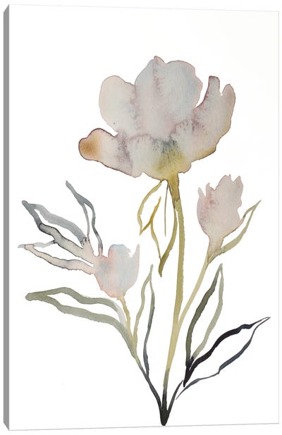 Floral No. 13 Canvas Art Print - Elizabeth Becker