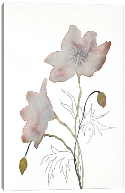 Floral No. 14 Canvas Art Print - Elizabeth Becker