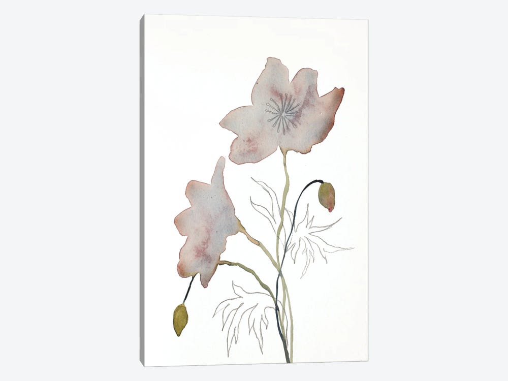 Floral No. 14 by Elizabeth Becker 1-piece Canvas Print