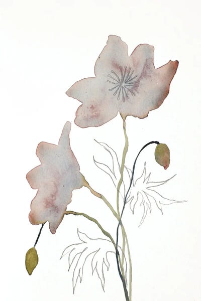 Wildflowers: Floral No. 14 by Elizabeth Becker
