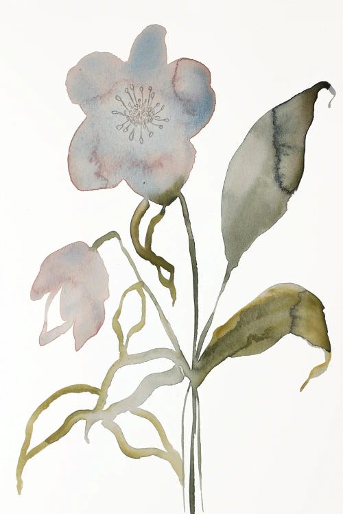 Floral No. 15