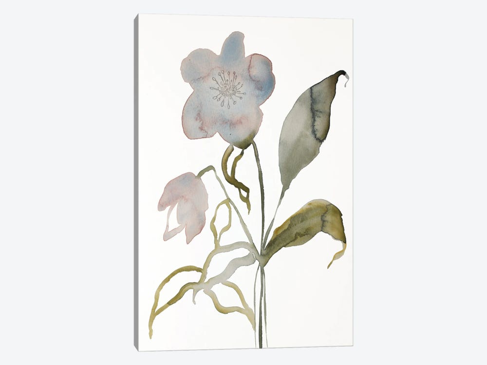Floral No. 15 by Elizabeth Becker 1-piece Canvas Art