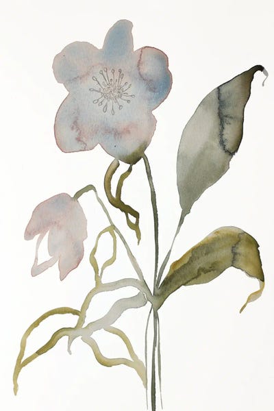 Wildflowers: Floral No. 15 by Elizabeth Becker
