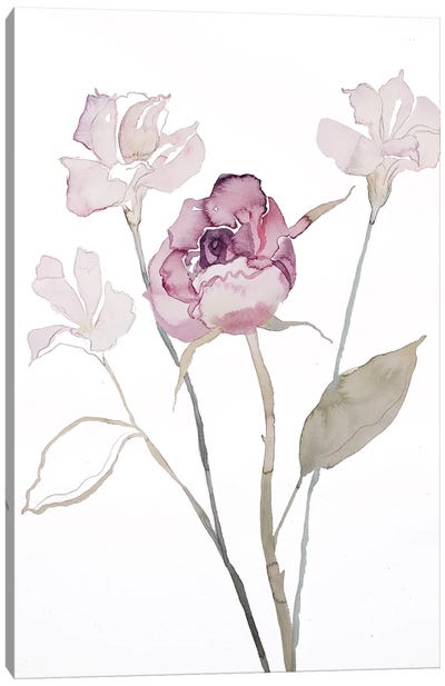 Floral No. 16 Canvas Art Print - Zen Master