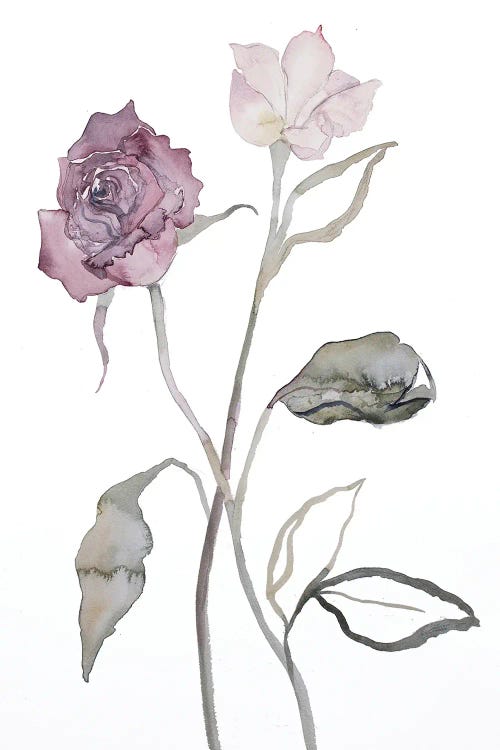 Floral No. 17 by Elizabeth Becker wall art