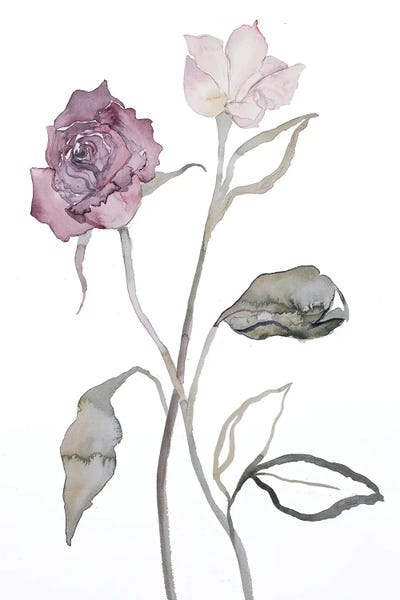 Fine Art Print: Floral No. 17 by Elizabeth Becker