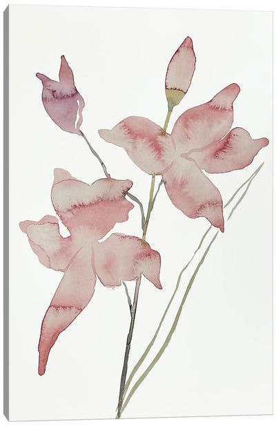 Grass Pink No. 1 Canvas Art Print - Elizabeth Becker