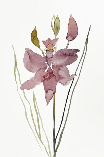 Elizabeth Becker: Grass Pink No. 3 by Elizabeth Becker