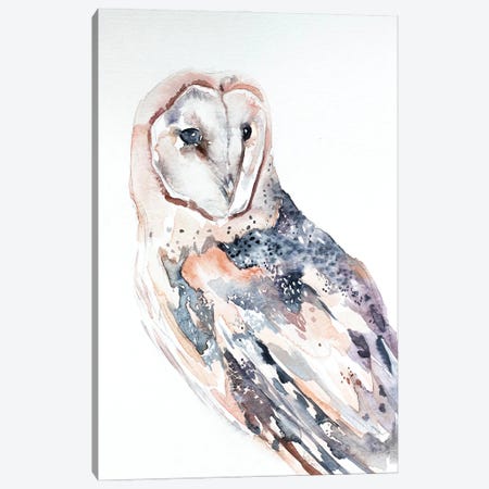 Barn Owl No. 2 Canvas Print #EZB3} by Elizabeth Becker Canvas Art Print