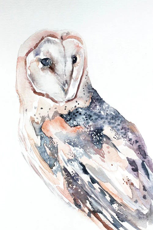 Barn Owl No. 2