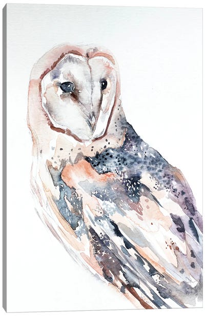 Barn Owl No. 2 Canvas Art Print - Elizabeth Becker