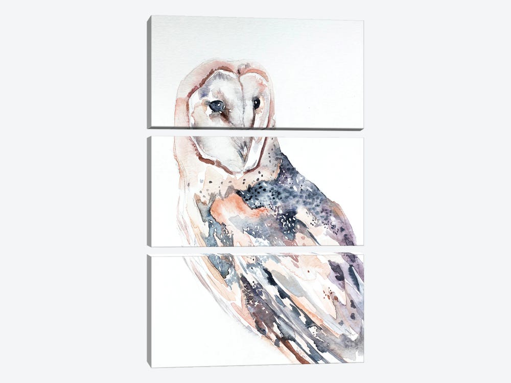 Barn Owl No. 2 by Elizabeth Becker 3-piece Art Print