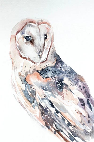 Elizabeth Becker: Barn Owl No. 2 by Elizabeth Becker