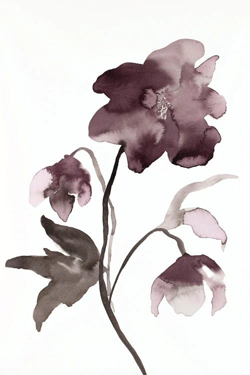 Hellebore No. 12 by Elizabeth Becker wall art