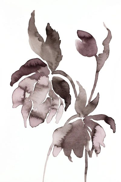 Elizabeth Becker: Hellebore No. 13 by Elizabeth Becker