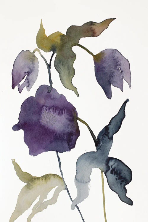 Hellebore No. 25 by Elizabeth Becker wall art