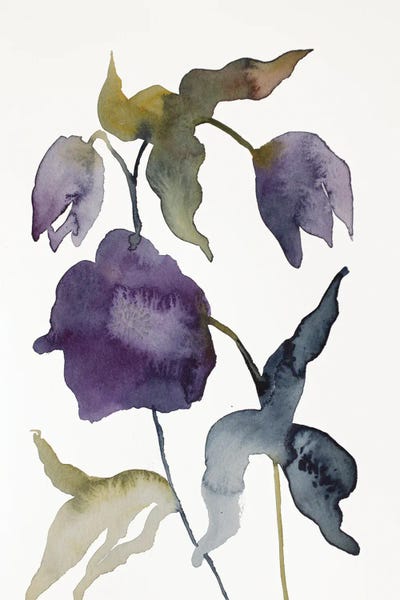 Elizabeth Becker: Hellebore No. 25 by Elizabeth Becker