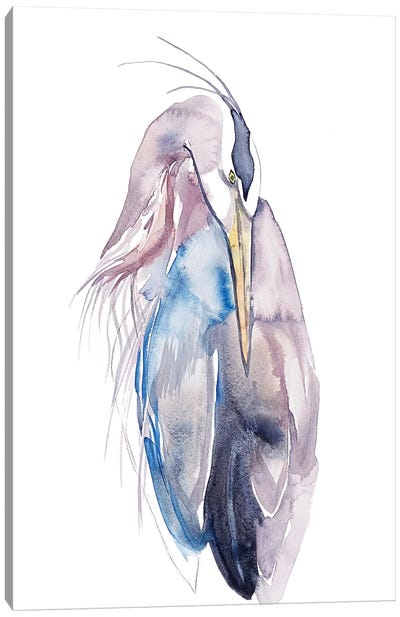 Heron No. 17 Canvas Art Print - Elizabeth Becker