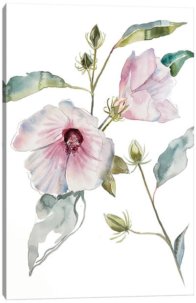 Hibiscus Canvas Art Print - Elizabeth Becker
