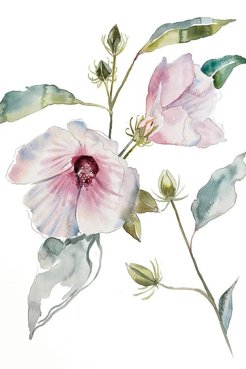 Hibiscus by Elizabeth Becker wall art