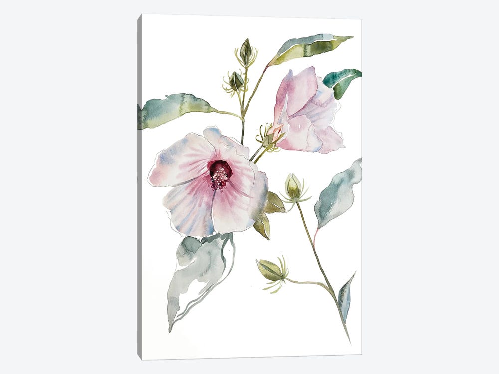 Hibiscus by Elizabeth Becker 1-piece Canvas Art