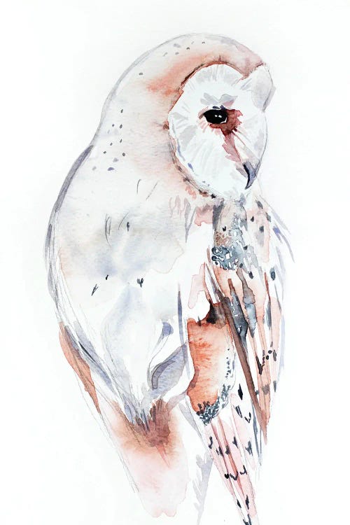 Barn Owl by Elizabeth Becker wall art