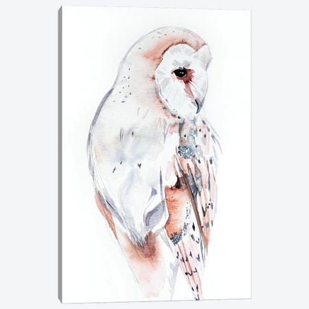 Barn Owl Canvas Print #EZB4} by Elizabeth Becker Canvas Art
