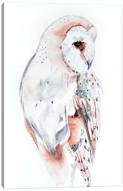 Barn Owl Canvas Art Print - Minimalist Bathroom Art