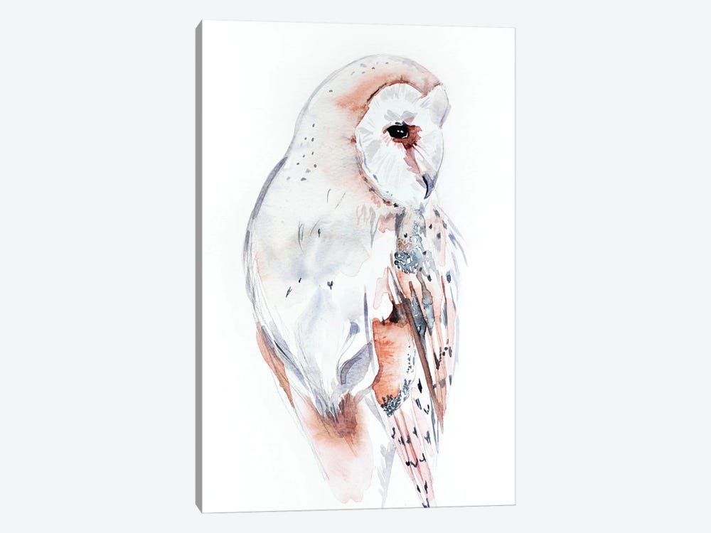 Barn Owl by Elizabeth Becker 1-piece Canvas Wall Art