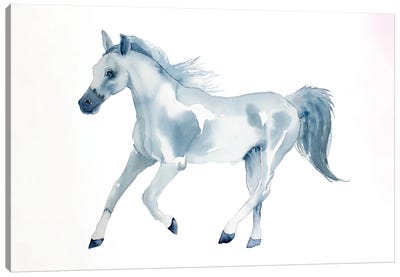Horse Study Canvas Art Print - Elizabeth Becker