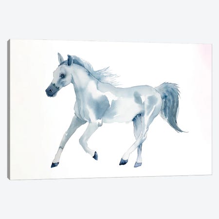 Horse Study Canvas Print #EZB50} by Elizabeth Becker Art Print