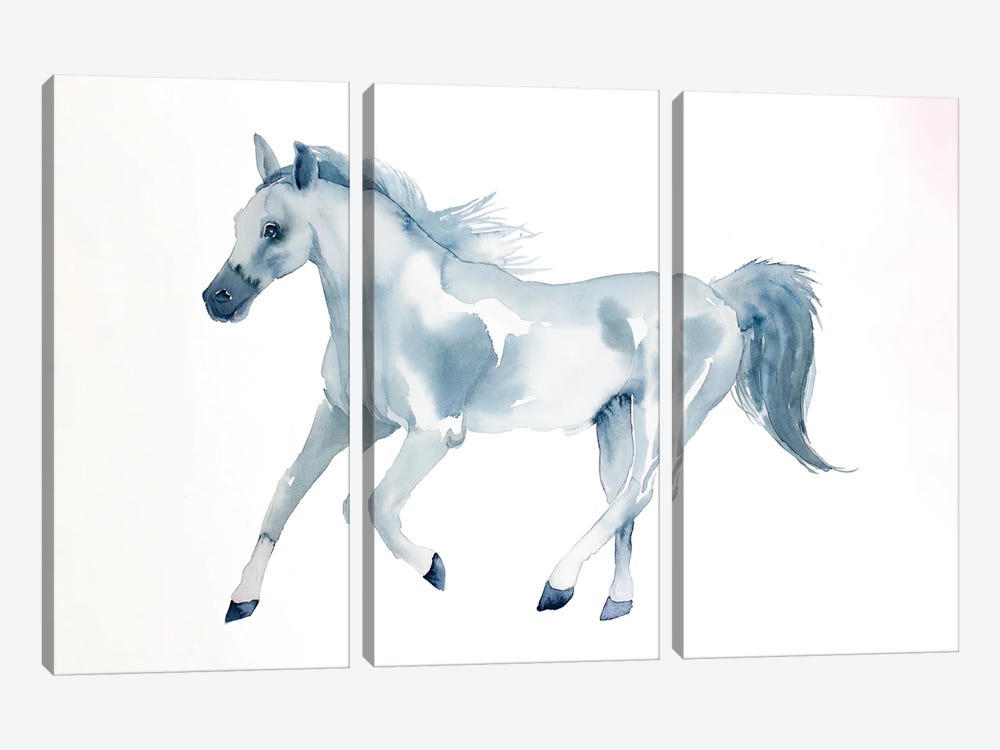 Horse Study by Elizabeth Becker 3-piece Canvas Print