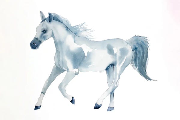 Elizabeth Becker: Horse Study by Elizabeth Becker