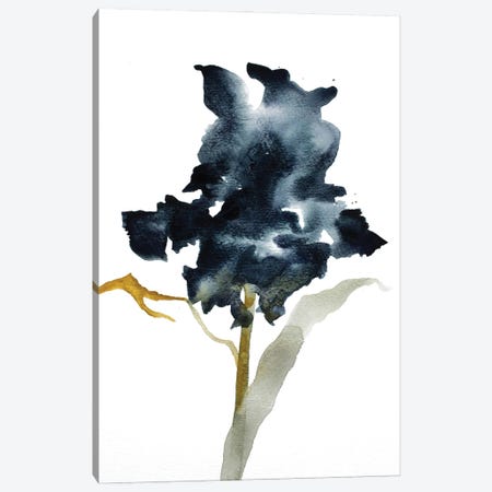 Iris No. 3 Canvas Print #EZB51} by Elizabeth Becker Art Print