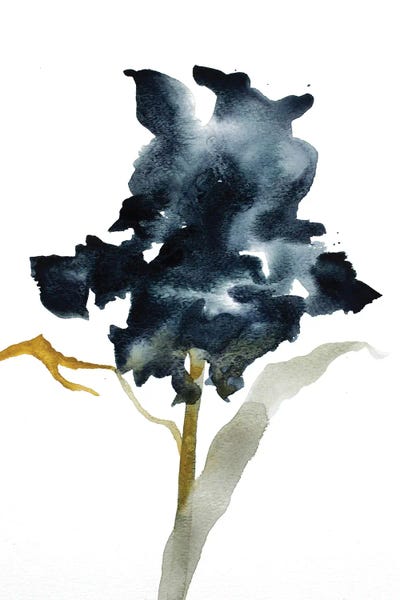 Irises: Iris No. 3 by Elizabeth Becker