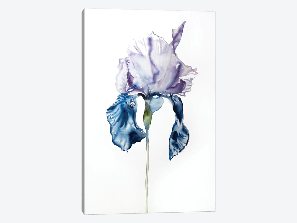 Iris No. 67 by Elizabeth Becker 1-piece Canvas Art