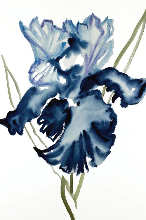 Iris No. 108