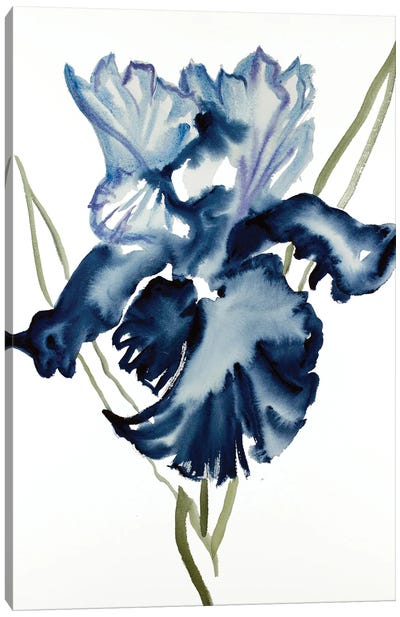 Iris No. 108 Canvas Art Print - Elizabeth Becker