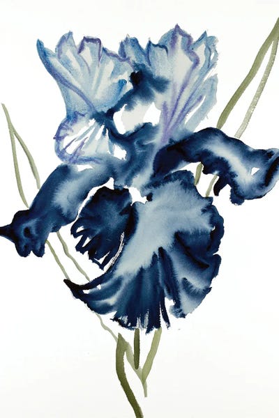 Irises: Iris No. 108 by Elizabeth Becker