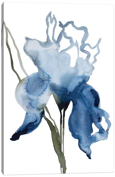 Iris No. 132 Canvas Art Print - Elizabeth Becker