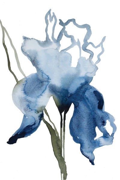Irises: Iris No. 132 by Elizabeth Becker