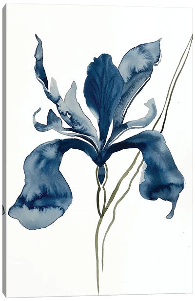 Iris No. 152 Canvas Art Print - Elizabeth Becker