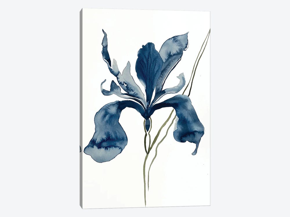 Iris No. 152 by Elizabeth Becker 1-piece Canvas Artwork