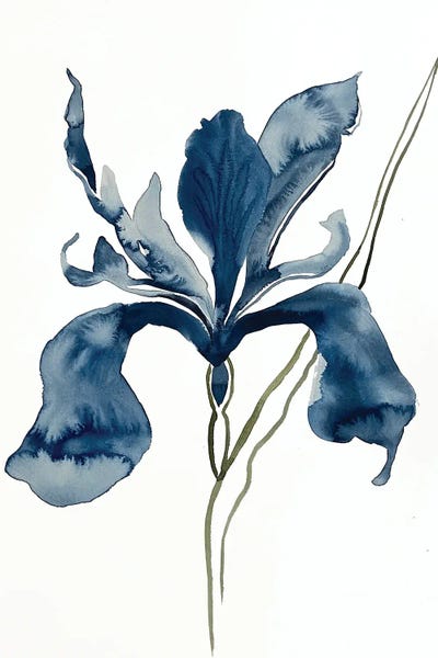 Irises: Iris No. 152 by Elizabeth Becker