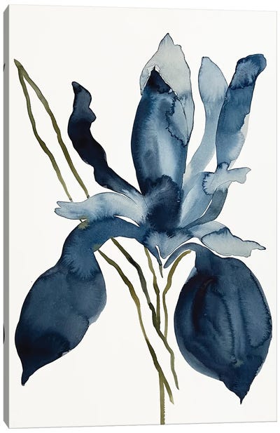 Iris No. 153 Canvas Art Print - Elizabeth Becker