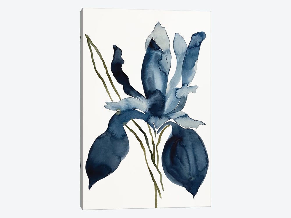 Iris No. 153 by Elizabeth Becker 1-piece Canvas Print