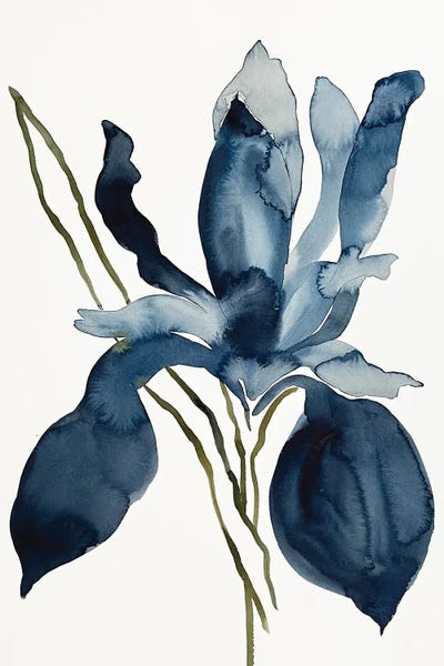 Irises: Iris No. 153 by Elizabeth Becker