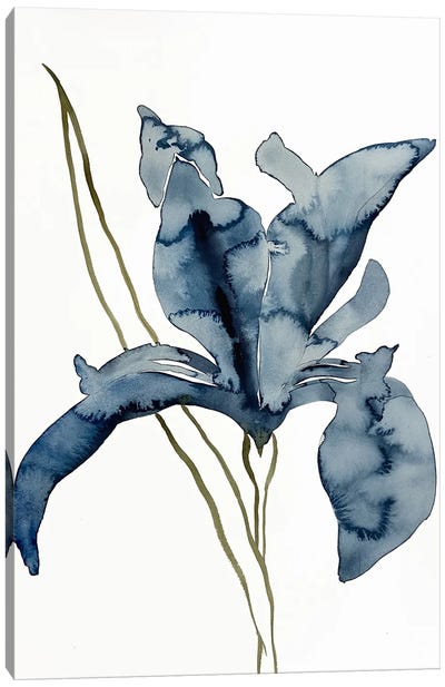 Iris No. 154 Canvas Art Print - Elizabeth Becker